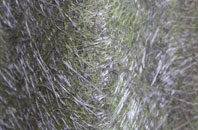 Solihull fibreglass roof work